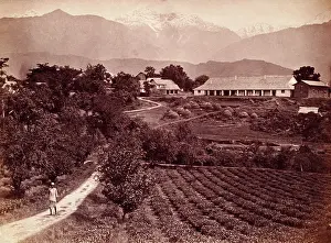 Plantation Prints: Baijnath tea factory, 1860s. Creator: Unknown