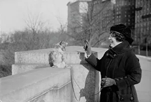 Beret Prints: Baker, between c1915 and c1920. Creator: Bain News Service