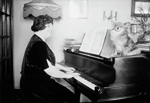 On Top Of Prints: Baker, between c1915 and c1920. Creator: Bain News Service