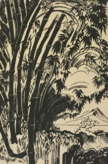 Bamboe (bamboo), 1920-1930. Creator: Johannes ten Klooster