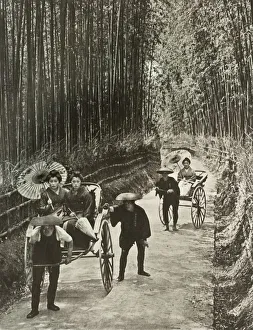 Kioto Prints: A Bamboo Avenue at Kyoto, 1910. Creator: Herbert Ponting