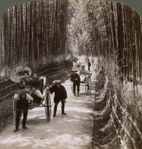 Kyoto Prints: Bamboo avenue, looking south-west