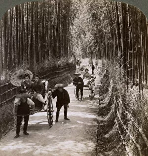 Images Dated 17th July 2008: Bamboo avenue, looking south-west, near Kiyomizu, Kyoto, Japan, 1904. Artist: Underwood & Underwood