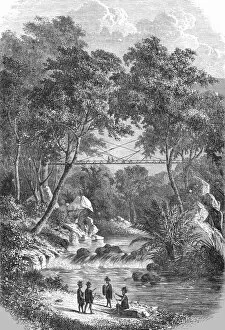 Bamboo Gallery: Bamboo Bridge of the Western Dyaks; A Visit to Borneo, 1875. Creator: A.M. Cameron