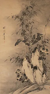 Cernuschi Museum Prints: Bamboo. Creator: Unknown