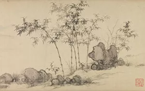 Tranquility Gallery: Bamboo grove, late 14th century. Creator: Shen Xun