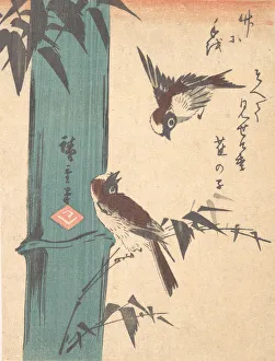 Sparrows Prints: Bamboo and Sparrows, ca. 1840. ca. 1840. Creator: Ando Hiroshige