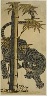 Hand Coloured Woodblock Print Gallery: Bamboo and Tiger, c. 1725. Creator: Nishimura Shigenaga
