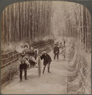 Kioto Prints: Under the bamboo trees - on the famous avenue near Kiyomizu, Kyoto, Japan, 1904