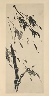 Bamboo in the Wind. Creator: Taiho Shoko