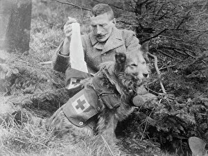 Bandage Prints: Bandages from kit of British Dog, between 1914 and c1915. Creator: Bain News Service