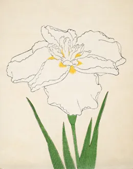 Clump Prints: Bandai-No-Nami, No 1, 1890, (colour woodblock print)