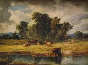 Frederic Gordon Roe Collection: Banks of the Envy, near Rhuddlan, 1852, (1938). Artist: Alfred Vickers