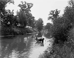 Baraboo River near Ableman's, between 1880 and 1899. Creator: Unknown