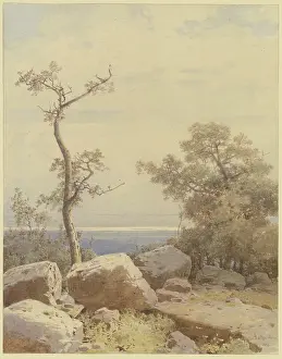 Remote Prints: Bare tree among stone blocks, 1880. Creator: Carl Theodor Reiffenstein