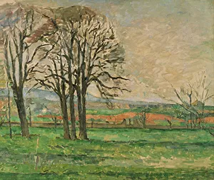 The Bare Trees at Jas de Bouffan, 1885-1886. Artist: Cezanne, Paul (1839-1906)