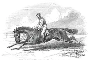 Herring Prints: The Baron, the winner of the Great St. Leger 1845 - drawn by Herring, 1845