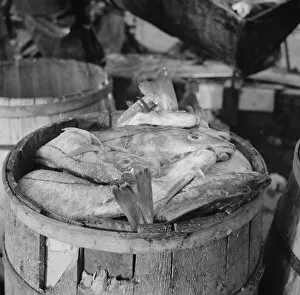 Catch Collection: Barrels of codfish, New York, 1943. Creator: Gordon Parks
