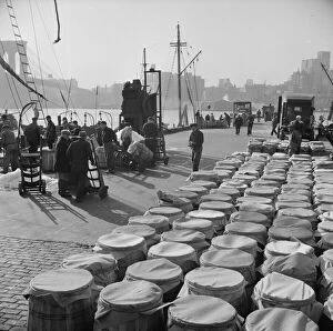 Barrels of fish caught off the New England coast waiting to be shipped to... New York, 1943. Creator: Gordon Parks