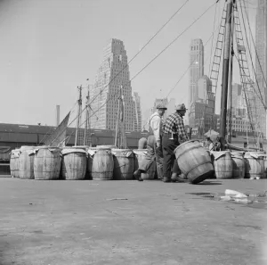 Barrels of fish on the docks at Fulton fish market ready to be shipped to retailers, New York, 1943. Creator: Gordon Parks
