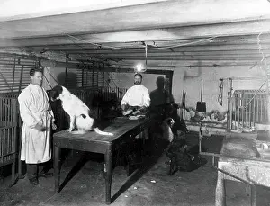Workwear Prints: A basement (possibly the pre-operative room in the Physiology Department)