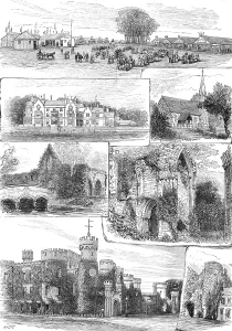 Show Prints: The Bath and West of England Agricultural Show at Tunbridge Wells, 1881. Creator: Unknown