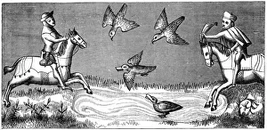 How to bathe a new falcon, 14th century (1849)