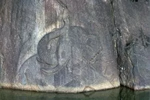 Buddhism Collection: Bathing elephant carved in low relief in a Buddhist shrine