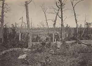 George Norman Prints: Battle Ground of Resacca, Georgia No. 3, 1860s. Creator: George N. Barnard