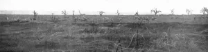 Assault Prints: The Battle of La Malmaison; Dawn on October 23: sending of an assault wave