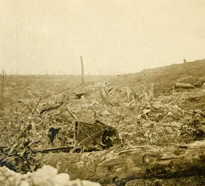Editions Stl Prints: Battlefield, Bezonvaux, Verdun, northern France, c1914-c1918