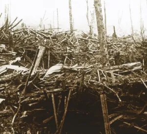 Battlefield, c1914-c1918
