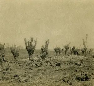 Wasteland Prints: Battlefield, Maurepas, northern France, c1914-c1918