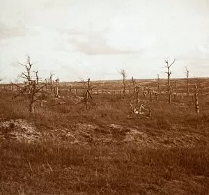 Battlefield, Tahure, northern France, c1914-c1918