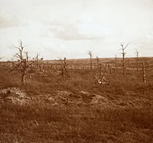 Grand Est Prints: Battlefield, Tahure, northern France, c1914-c1918