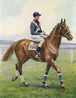 Winning Gallery: Battleship, Jockey: B. Hobbs, 1939