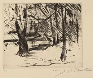 Sunny Collection: Baume mit Sonne (Trees in the Sun), 1920-1921. Creator: Lovis Corinth