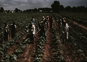 Bayou Bourbeau plantation operated by Bayou Bourbeau Farmstead Assoc... Natchitoches, La. 1940. Creator: Marion Post Wolcott