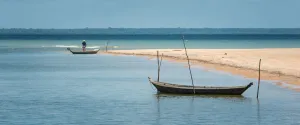 Panoramic Gallery: Beach in the Amazon. Creator: Dorte Verner