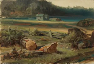 Beach landscape. Creator: Johan Knutson