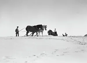 Beach scene with horses, East Hampton, Long Island, between 1933 and 1942. Creator: Arnold Genthe