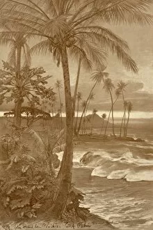 Allers Gallery: The beach at Waikiki, Hawaii, 1898. Creator: Christian Wilhelm Allers