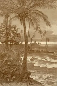 Palm Trees Prints: The beach at Waikiki, Hawaii, 1898. Creator: Christian Wilhelm Allers