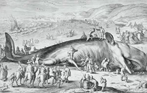 Cutting Gallery: Beached Whale, 1598. Creator: Jacob Matham