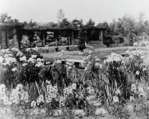Herbaceous Border Prints: Beacon Hill House, Arthur Curtiss James house