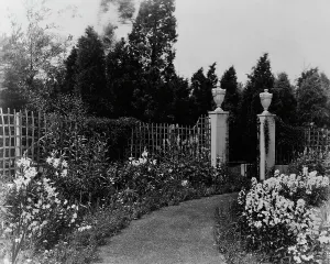 Trellis Prints: Beacon Hill House, Arthur Curtiss James house