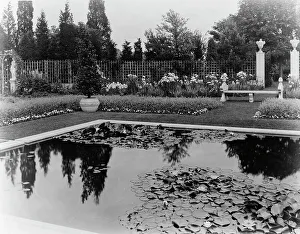Water Lily Prints: Beacon Hill House, Arthur Curtiss James house