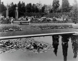 Water Lily Prints: Beacon Hill House, Arthur Curtiss James house