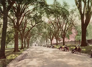 Footpath Prints: Beacon Street Mall, Boston, c1899. Creator: Unknown