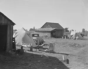 Bean pickers camp in growers yard - no running... near West Stayton, Marion County, Oregon, 1939. Creator: Dorothea Lange